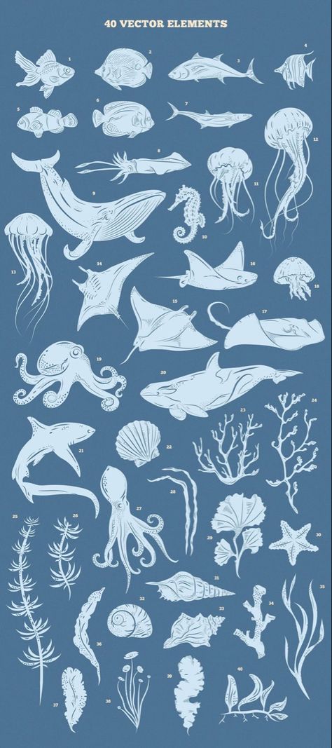 Drawing Underwater, Underwater Drawing, Underwater Kingdom, Jellyfish Illustration, Photography Underwater, Jellyfish Photography, Ocean Illustration, Jellyfish Drawing, Jellyfish Painting