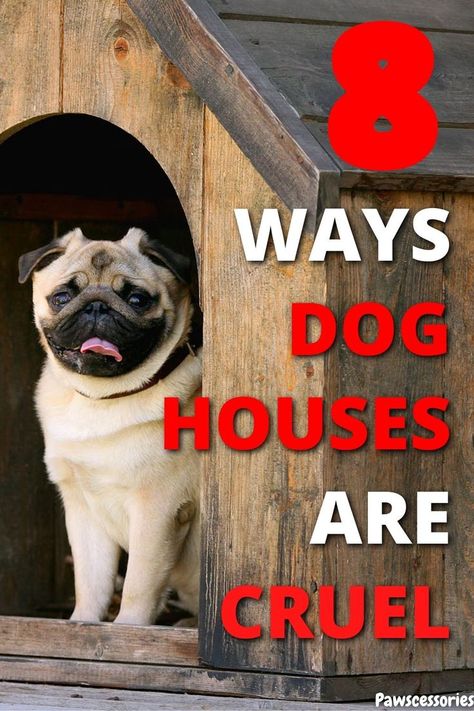 Dog sitting outside in a dog house. There is text over the image saying "8 ways dog houses are cruel". Heated And Cooled Dog House, Outside Dog Houses For Big Dogs Winter, Diy Dog House For Winter, Underground Dog House, How To Make A Dog House, Easy Dog House Diy Simple, Heated Dog House Outdoor, Diy Dog Shelter, Diy Outdoor Dog House