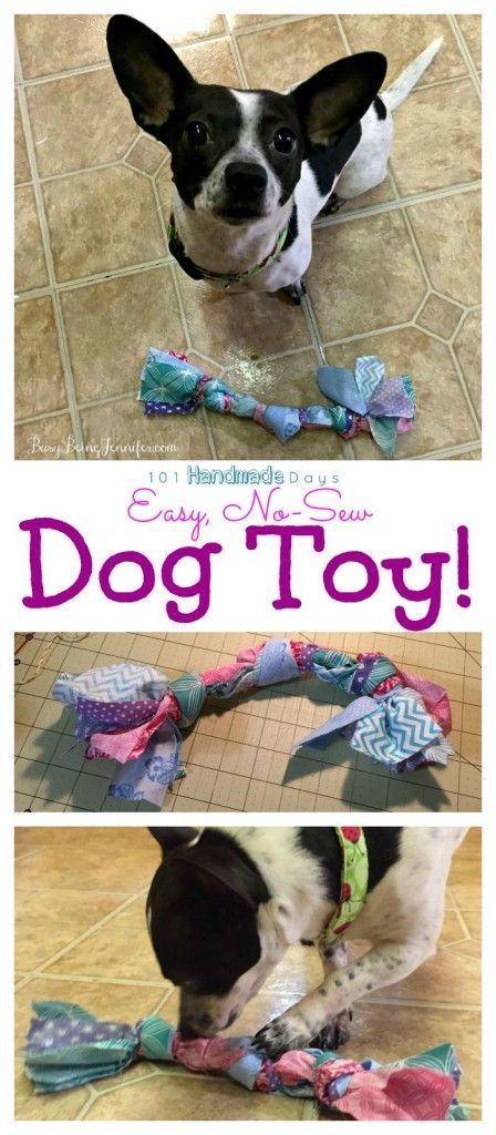 101 Handmade Days: Scrap Fabric Dog Toy & Canine DNA Testing - Busy Being Jennifer #ad Homemade Dog Toys, Dogs Diy Projects, Puppy Obedience Training, Diy Dog Toys, Positive Dog Training, Basic Dog Training, Toys Diy, Best Dog Training, Dog Crafts