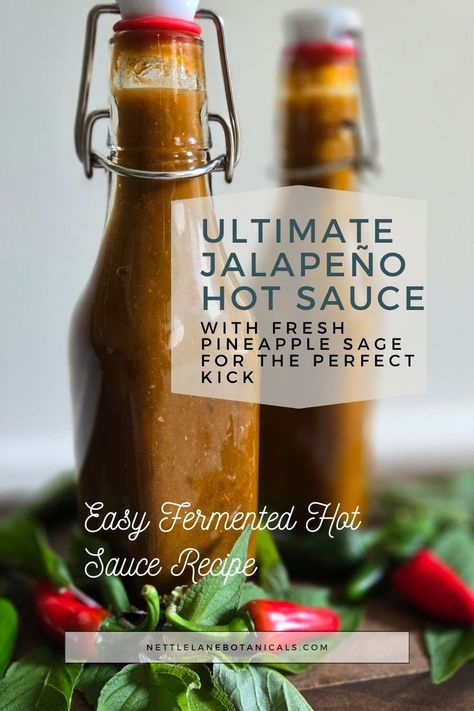 Fermented jalapeño hot sauce in a bowl, infused with fresh pineapple sage. A tangy, zesty, and bold plant-based recipe perfect for spice lovers and those interested in fermentation. Learn how to make this easy fermented hot sauce at home. Jalapeno Hot Sauce Recipe, Jalapeño Hot Sauce, Fermented Hot Sauce Recipe, Fermenting Weights, Jalapeno Sauce, Fermentation Crock, Hot Sauce Recipes, Pineapple Sage, Fresh Pineapple