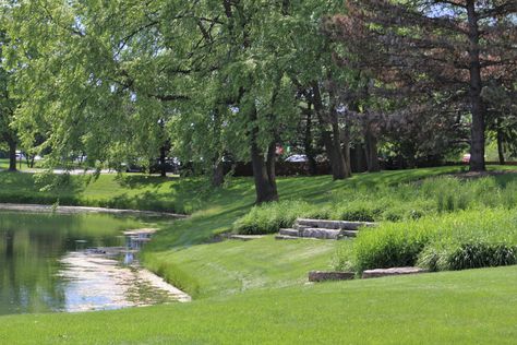 Retention Pond Landscape Architecture, Retention Pond Landscaping, Dior Hotel, Detention Pond, Pond Landscape, Retention Pond, Pond Maintenance, Pond Landscaping, Landscape Maintenance