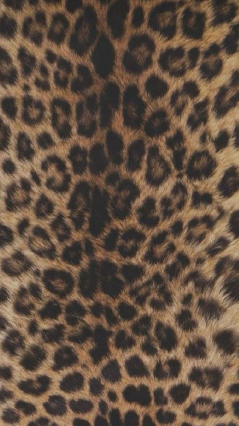 Barbie In Real Life, Cheetah Print Background, Cheetah Background, Ipad Picture, Aesthetic Tea, Cheetah Wallpaper, Leopard Print Background, Leopard Print Wallpaper, Mob Wife Aesthetic