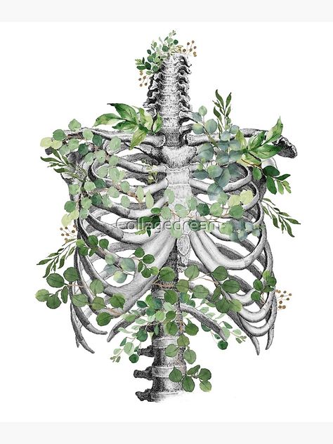 Plant Skeleton Art, Skeleton Nature Art, Skeleton Ribcage Drawing, Ribcage Embroidery, Skeleton Corset Rib Cage, Ribs With Flowers, Rib Cage With Flowers, Rib Cage Art, Ribcage Drawing