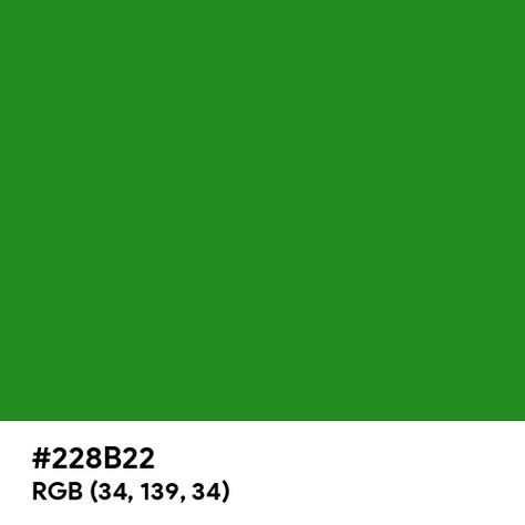 Forest Green color hex code is #228B22 Green Color Hex Code, Paint For Kitchen Walls, Split Complementary Colors, Rgb Color Wheel, Green Web, Rainbow Palette, Web Colors, Kitchen Wall Colors, Forest Green Color