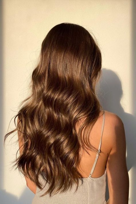 Brown Hair Colors Honey, The Perfect Brown Hair, All Over Colour Hair, All Over Color Light Brown, Brunnete Hairstyle Ideas, Long Luscious Brown Hair, One Colour Hair Dye, Light Brunette Hair Solid, Light Amber Brown Hair Color