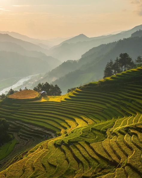 Japanese Landscape Mountains, Rice Fields Aesthetic, Minecraft Rice Field, Japan Rice Field, Rice Field Aesthetic, Japanese Rice Fields, Aesthetic Mountain Pictures, Japanese Field, Environment Aesthetic