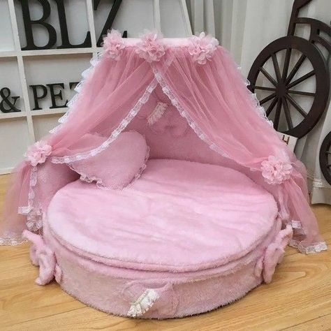 Princess Dog Bed, Princess Pet, Luxury Dog Kennels, Pink Dog Beds, Chien Shih Tzu, Puppy Room, Puppy Bed, Puppy Kennel, Small Puppy