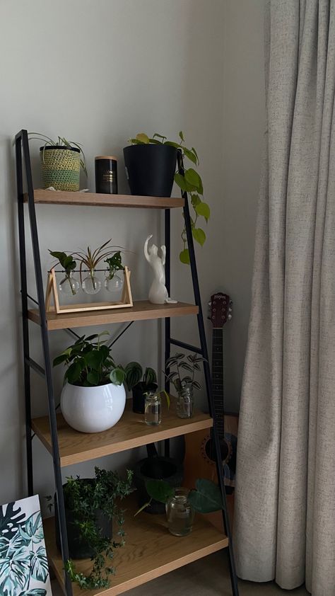 Bookshelf Plants Decor, Plant Shelf Ideas Living Room, Balcony Shelves, Plants On Shelf, Shelf Decor Aesthetic, Rustic Bookshelves, Teen Room Designs, Home Interior Accessories, Room Upgrade