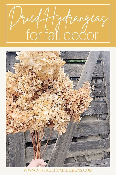 Decorating With Dried Hydrangeas Fall, Foraged Fall Arrangement, Dried Limelight Hydrangeas, Dry Hydrangeas Decor, Dried Hydrangea Arrangements Home Decor, Hydrangea Fall Decor, Wheat Decorations Decorating Ideas, Arrangements With Dried Hydrangeas, Dried Hydrangea Christmas Decor