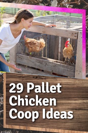 Pallet Chicken Coop, Chicken Coop Designs Diy, Easy Diy Chicken Coop, Chicken Coop Plans Free, Chicken Coop Ideas, Cheap Chicken Coops, Chicken Coop Pallets, Cute Chicken Coops, Chicken Coop Garden