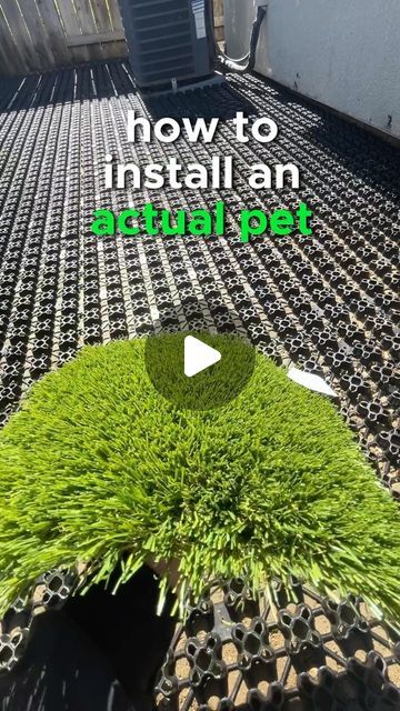 Sheldon Santos on Instagram: "Pet turf is not a thing..  The reality is a “pet turf” is not exactly a thing. I challenge you to think about it. Why would a shorter turf or a different infill make it for pets?  Your install has far more to do with making the job a pet turf than the actual turf. Having said that we absolutely have more pet specific products but the name of the game is draining ability!  The better your area drains the easier it is to clean your turf. This system we use with the flow thru turf is in my opinion the best solution to pets and turf these days.  What do you think?  #turf #dogs #germanshepherd #bulldog #labrador #goldenretriever #husky #beagles #malamute #chihuahua #bordercollie #dachshund #rottweiler #terrier #sacramento #lodi #stockton #modesto #manteca #bayarea" Artificial Turf Backyard Ideas For Dogs, Pet Turf Backyard Ideas, Small Dog Areas In Backyard, Diy Artificial Turf Installation, Gravel And Turf Backyard, Dog Friendly Yard Ideas, Turf Dog Run, Astro Turf Garden Ideas, Artificial Turf Backyard Ideas