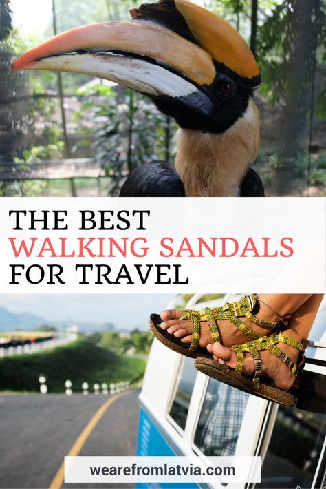 Best Walking Sandals for Travel | Best Walking Sandals for Women | Best Walking Sandals for Men | Best Walking Sandals Best Travel Sandals, Best Walking Sandals, Travel Sandals, Retirement Travel, Packing Ideas, Sandals For Men, Packing For A Cruise, Walking Sandals, Budget Travel Tips