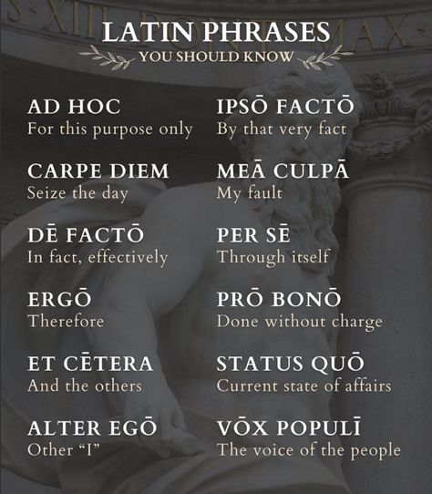 Latin Language Learning, Learn Latin, Latin Quotes, Latin Language, Learn Another Language, Latin Phrases, Uncommon Words, Language Quotes, Your 20s