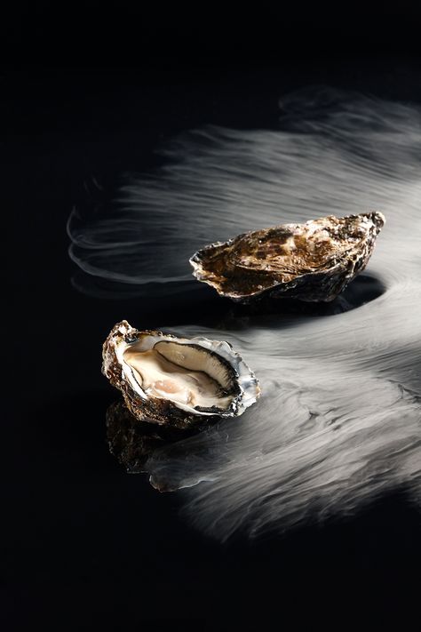 Le Bar à Huitres - Oysters on Behance Oysters Photography, Oyster Photography, Oyster Aesthetic, Oysters Aesthetic, Fine Dining Photography, Seafood Photography, Fish Inspiration, Fort Worth Restaurants, Coat Aesthetic