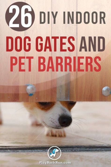 Self Closing Gate Diy, Homemade Dog Gates Ideas, Diy Pet Barrier, Indoor Gates Dogs, Pet Barrier Indoor Diy, Diy Dog Gates Indoor Wide, Diy Indoor Dog Gate, Diy Retractable Dog Gate, Diy Doggie Gate