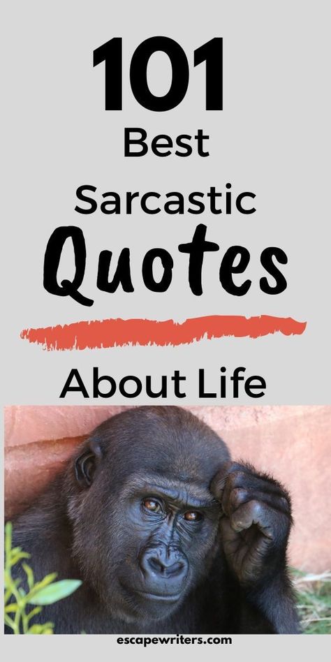 Life Quotes Funny Sarcastic, Original Character Quotes, Sarcastic Encouragement Quotes, Life Notes Quotes, Small Quotes Funny, Sarcastically Funny Quotes, Short And Funny Quotes, Humorous Life Quotes, Popular Phrases Sayings