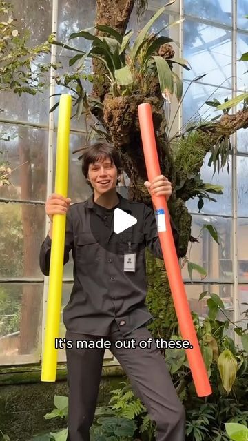 The Huntington on Instagram: "Can you tell this tree is fake? 🥸 While we have many living trees in the Conservatory, building an artificial tree allows us to create a disease-resistant space to display epiphytic plants like ant plants. Learn more about how we put together one of these trees with Bryce!" Fake Branches Diy, Diy Faux Indoor Tree, How To Build A Fake Tree, Artificial Climbing Plants, Foam Tree Diy, Fake Wisteria Tree, Indoor Tree Ideas, Artificial Trees Indoor Decor Diy, Diy Tree In Bedroom