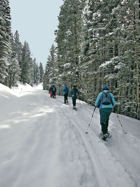 Snow Hike Aesthetic, Snow Shoes Aesthetic, Snow Shoeing Aesthetic, Ski Tips For Beginners, Winter Break Bucket List, Abc Dates, Snow School, Ski Tips, Park Amenities