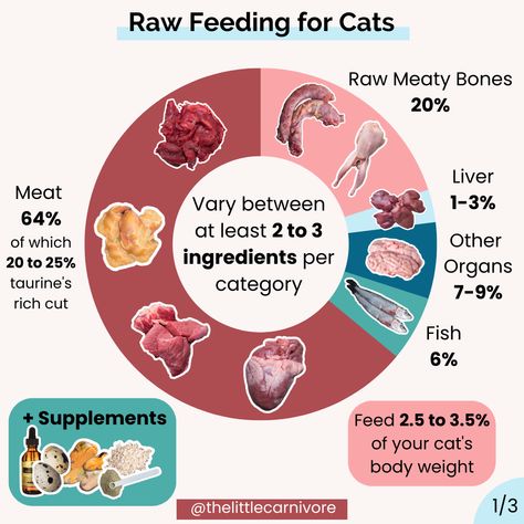 Calculator: raw diet for cats — The Little Carnivore Barf Diet For Cats, Raw Food Diet For Cats, Raw Food Cat, Raw Diet For Cat, Raw Cat Diet, Raw Food Cat Diet, Cat Raw Diet, Raw Feeding Cats, Raw Food For Cats