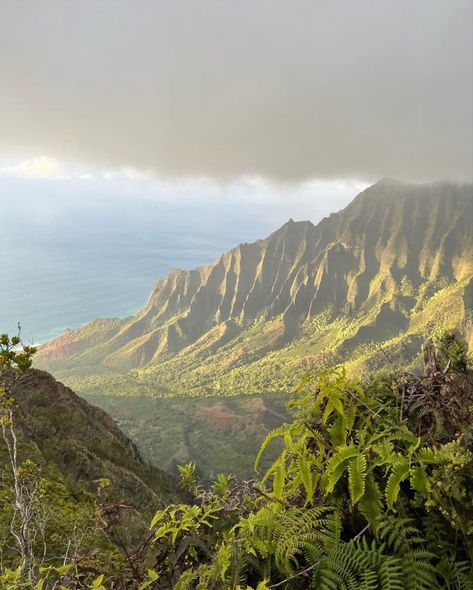 Scenery Aesthetic, Drømme Liv, Hawaii Life, Pretty Landscapes, Dream Places, Louisville Kentucky, In The Clouds, Hawaii Travel, Nature Aesthetic