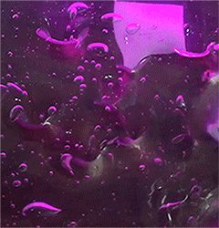 Purple Slime Aesthetic, Purple Slime Gif, Purple Stim Gif, Slime Gif, Sensory Gifs, Purple Slime, Stimboard Gifs, Sensory Images, Stim Gifs