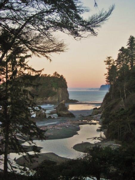 La Push Washington, La Push Beach, Long Beach Washington, Forks Washington, Camping Places, Evergreen State, Port Angeles, Twilight Movie, Olympic Peninsula