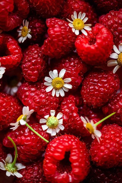 Berries And Cream Aesthetic, Berries Aesthetic, Berry Aesthetic, Berries Photography, Spring Fruits, Crowded Kitchen, Spring Roll Bowls, Vanilla Cream Cheese Frosting, Berries And Cream