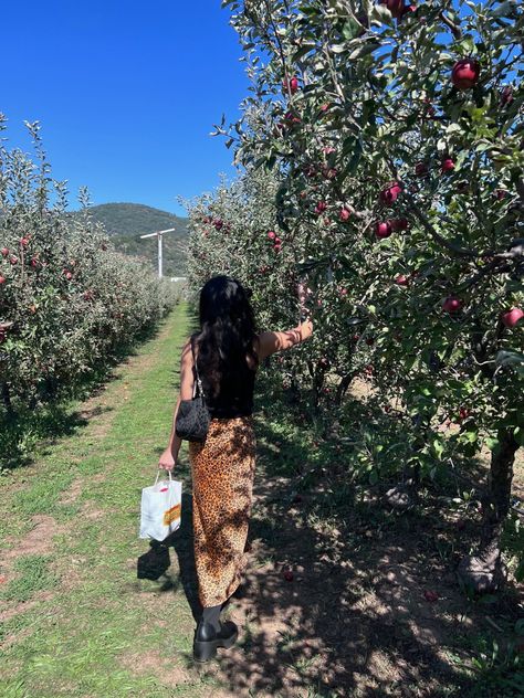 Apple Orchard Picture Ideas, Apple Orchard Pictures, Pumpkin Pics, Fall Pics, Pumpkin Pictures, Apple Apple, Apple Orchard, Fall Inspo, Fall Photoshoot