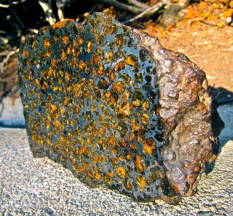 Sliced Meteorite. Awesome Iron Meteorite, Geology Rocks, Rock Minerals, Sticks And Stones, Beautiful Rocks, Space Rock, Minerals And Gemstones, Rocks And Gems, Gems And Minerals