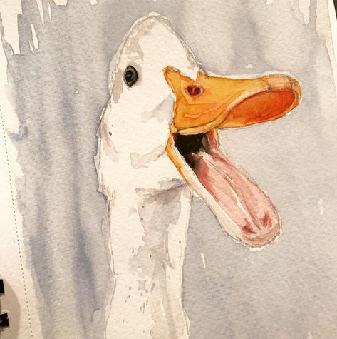 Paintings Of Ducks, Watercolor Duck Easy, Cute Duck Painting, Duck Watercolor Painting, Watercolour Duck, Watercolor Ducks, Duck Drawings, Duck Paintings, Draw Sea Animals