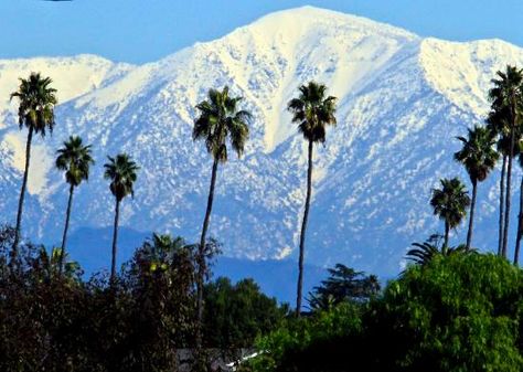 San Gabriel Mountains - Los Angeles - Reviews of San Gabriel Mountains - TripAdvisor California Cities, Palm Tree Photography, San Gabriel Mountains, San Gabriel Valley, California History, Photography Los Angeles, California City, West Covina, San Gabriel