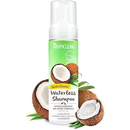 TropiClean Dog Shampoo Grooming Supplies - Hypoallergenic Waterless Shampoo - No Water Required - Dry Shampoo For Puppies & Kittens - Used by Groomers - Gentle Coconut, 220ml : Amazon.co.uk: Pet Supplies Dog Skin Care, Cat Shampoo, Smelly Cat, Tiny Dog, Puppies Kittens, Dog Essentials, Dog Skin, Dog Shampoo, Dye Free