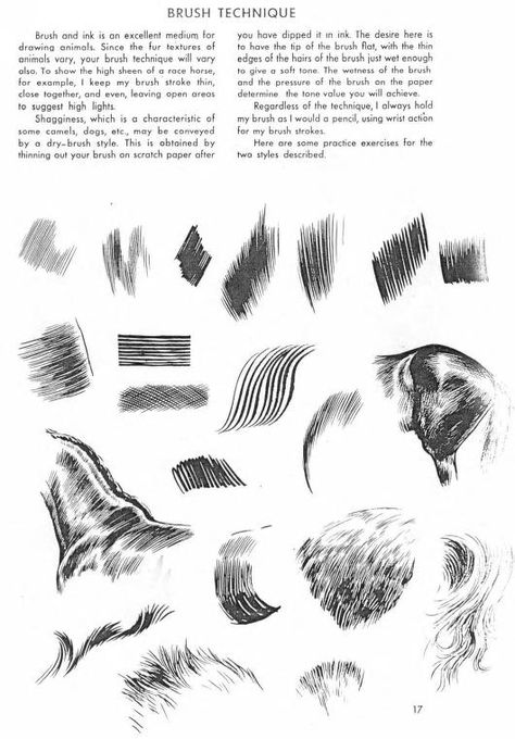 The Art of Animal Drawing, Construction, Action Analysis, Caricature (Dover Art Instruction) by Ken Hultgren : Free Download, Borrow, and Streaming : Internet Archive Drawing Construction, Horse Drawing Tutorial, How To Draw Fur, Texture Sketch, Pencil Drawings Of Animals, Learning To Draw, Horse Sketch, Texture Drawing, Horse Illustration