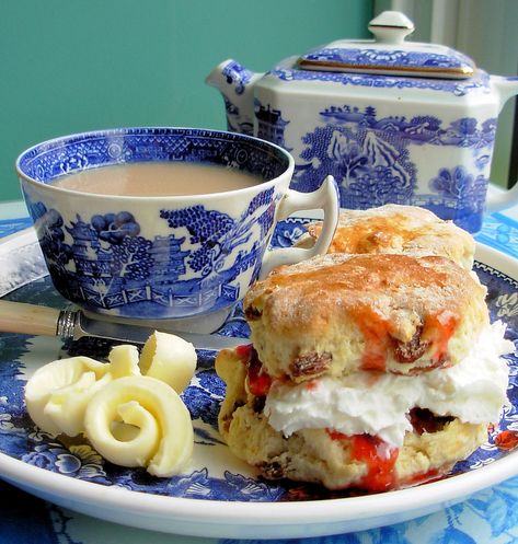 Old Willow Cream Tea | Home-made fruit scones with fresh but… | Flickr Sunday Tea, English Tea Time, Fruit Scones, Cuppa Tea, Afternoon Tea Parties, Cream Tea, Tea Sandwiches, Fresh Cream, A Cup Of Tea