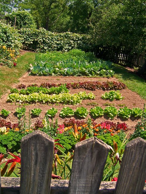 Country Garden Vegetable, Country Farm Garden, Fruit Vegetable Garden, Country Veggie Garden, Vegetable Patch Garden, Food And Flower Garden, Fruit Patch Garden, Farm Veggie Garden, Backyard Fruit And Vegetable Garden