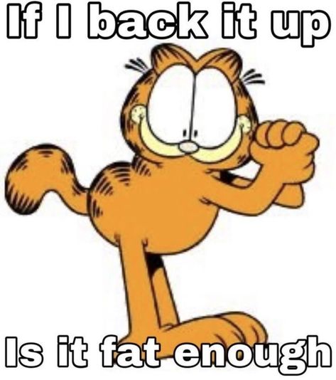 Garfield Wallpaper, Nobody Nobody, Fat Orange Cat, Garfield Pictures, Garfield Images, Garfield The Cat, Garfield Cat, I Hate Mondays, Silly Images