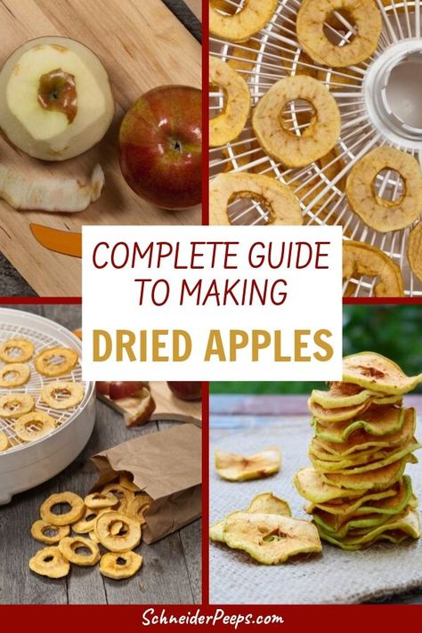 Drying Fruit Dehydrator, How To Make Dehydrated Apples, Paleo Dehydrator Recipes, Dry Apples In Dehydrator, Dehydrator Apples With Cinnamon, Dried Apple Recipes Dehydrator, How To Make Apple Chips In Dehydrator, Dehydrated Apple Chips In Dehydrator, Apple Chips Dehydrator Crispy