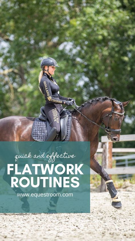 Horse Riding Flat Work Exercises, Riding Exercises For Horses, Horse Strengthening Exercises, Stretches For Equestrians, Equestrian Flat Work Exercises, Flatwork Exercises For Horses, Horse Conditioning Plan, Horse Riding Exercises Flatwork, Flat Work Exercises For Horses