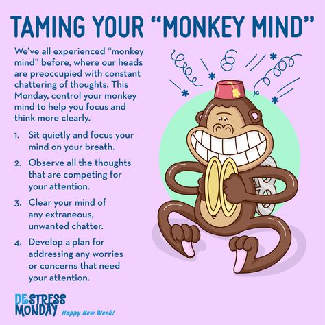 Monkey Mind Buddhism ☸️ Monkey Mind Quote, Anger Management Activities For Kids, Practical Psychology, Anger Management Activities, Monkey Mind, Focus Your Mind, Soothing Baby, Happy New Week, Clear Your Mind