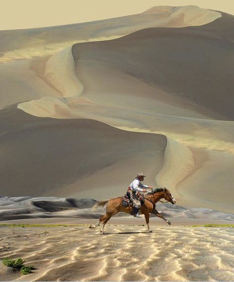 Desert cowboy. Mozart Requiem, Wilde Westen, Into The West, All The Pretty Horses, Pretty Horses, Horse Love, Sand Dunes, Horse Rider, Beautiful Horses