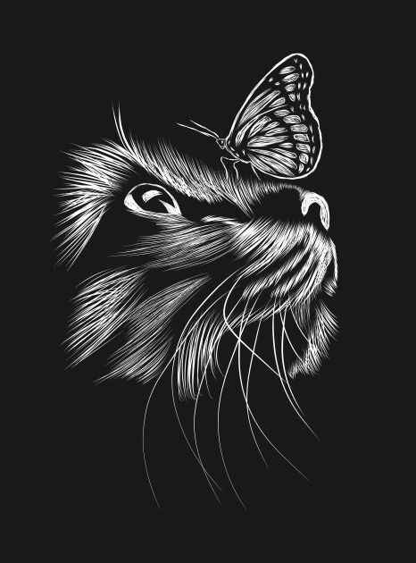 Painting Ideas On Canvas Black And White, Scratchboard Art Ideas, Scratchboard Drawings, Black Canvas Art, Cats Art Drawing, Scratchboard Art, Black Paper Drawing, Scratch Art, Painting Art Lesson