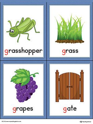 Letter G Words and Pictures Printable Cards: Grasshopper, Grass, Grapes, Gate (Color) Worksheet.The Letter G Words and Pictures Printable Cards can be used for flashcards, various games, and help your student associate unfamiliar words with a picture. Colorful picture cards for the words: grasshopper, grass, grapes, and gate. G For Grapes, Letter G Pictures, Letter G Words, Alphabet Word Wall Cards, Letter Pictures, Gate Color, Alphabet Word Wall, Jolly Phonics Activities, Color Worksheet