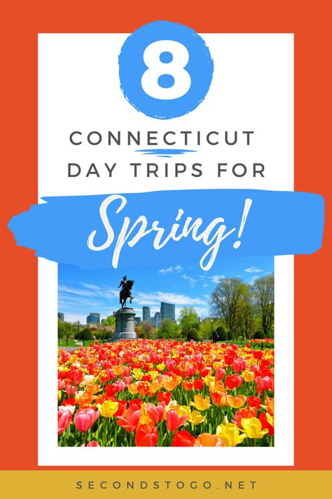 If you have only one day to spend in Connecticut this spring, you can't go wrong with one of these 8 day trips easily accessible from Connecticut. New England Day Trips, Ogunquit Maine, Liz Lemon, Land Trust, New England Travel, Visiting England, Travel England, Deep Sea Fishing, Spring Weather