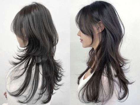 Wolfcut Hair Long Reference, Jelly Fish Haircut Long Korean, Jelly Fish Cut Long, Jellyfish Haircut Long Straight, Long Wolfcut Hairstyle, Long Hair Jellyfish Haircut, Hush Cut Long Hair Straight, Long Hush Cut Straight Hair, Jellyfish Cut Long Hair