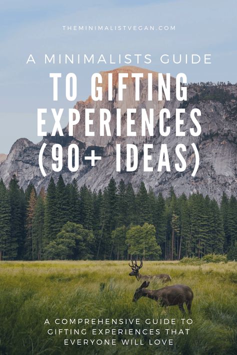 Gift Ideas Experiences, Gifting Experiences For Christmas, Gift Ideas For Minimalist, Birthday Adventure Ideas, Experience Gifts For Grandparents, Backyard Gift Ideas, New Experiences Ideas, Birthday Experiences For Him, Experience Gifts For Adults