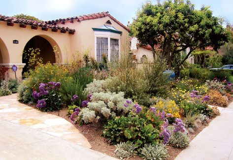 Waterwise Mediterranean - Mediterranean - Landscape - Los Angeles - by Urban Oasis Spanish Landscaping, Succulent Border, California Garden Design, Los Angeles Garden, Mediterranean Landscape Design, Desert Backyard, Mediterranean Garden Design, Spanish Garden, Tuscan Landscaping