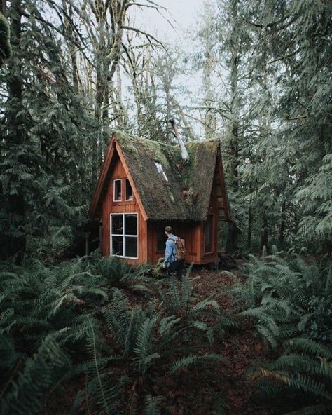 Timothy Sumer - Photography The perfect little fairytale house. Moss Roof, Bug Out Location, Little Cabin In The Woods, Wooden Cabin, Forest Cabin, Off Grid Cabin, Tiny Cabins, Wooden Cabins, Little Cabin