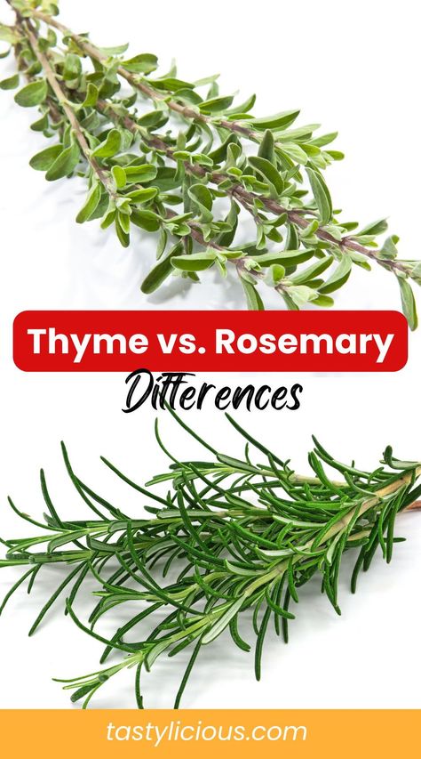 thyme and rosemary benefits | Can I substitute thyme for rosemary | thyme vs rosemary steak | thyme vs rosemary taste | summer dinner recipes | healthy lunch ideas | dinner ideas | breakfast ideas | easy healthy dinner recipes Rosemary Recipes Healthy, Rosemary Benefits, Canned Venison, Breakfast Ideas Easy Healthy, Rosemary Steak, Herbs For Protection, Breakfast Ideas Easy, Thyme Plant, Summer Dinner Recipes