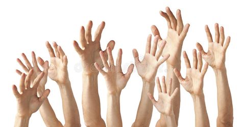 Many Hands Reaching Up. As if asking a question isolated on white , #Ad, #Reaching, #Hands, #question, #white, #isolated #ad Hand Reaching Out Drawing, Advanced Higher Art, Hands Reaching Out, New Project Ideas, Zombie Hand, School Murals, Hand Photography, Human Anatomy Drawing, Hand Images