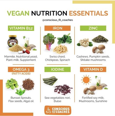 Vegan Essentials, Vegan Soup Recipes, Mushroom Coffee, Vegan Nutrition, Vegan Meal Plans, Vegan Fitness, Vitamin B12, Vegetarian Recipes Dinner, Immune Support